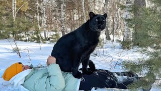 Panther Luna conquers lying trees😂(ENG SUB) by Luna_the_pantera 115,495 views 2 months ago 10 minutes, 11 seconds