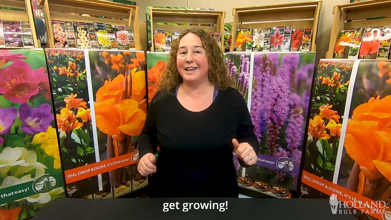 When Is The Best Time To Plant Spring Flower Bulbs? Herbal Plant Power