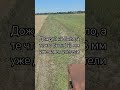 7.07.25 покос суданской травы, озимая пшеница умерла