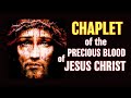 Pray the chaplet of the precious blood of jesus christ