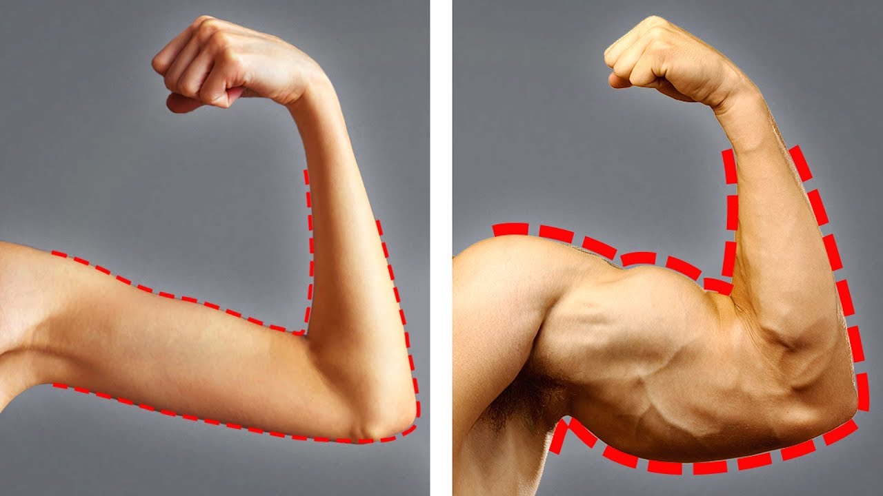 19 Lebensmittel, um deine Muskeln aufzubauen und schneller zuzunehmen