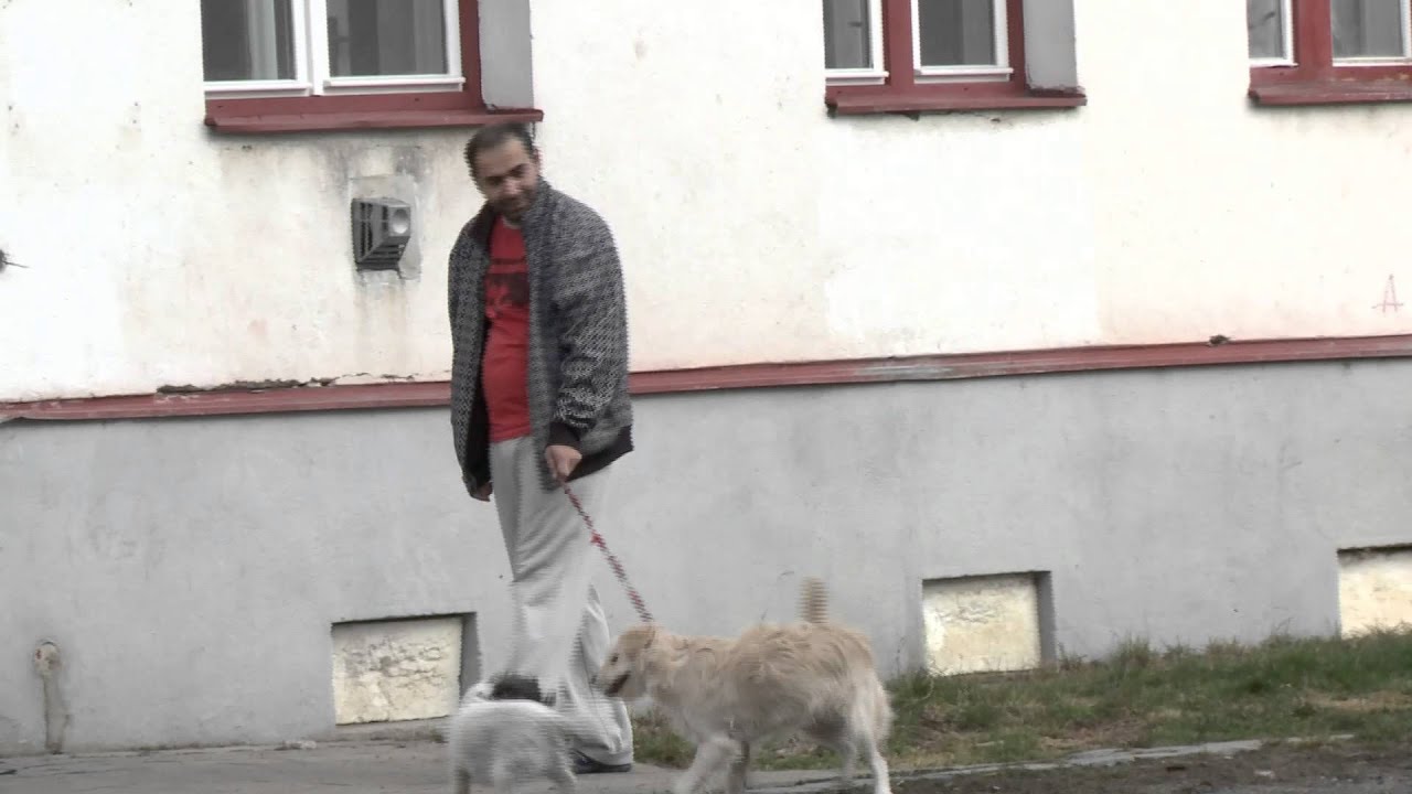 Pardubice chtějí dalšího asistenta prevence kriminality