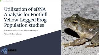 Utilization of eDNA Analysis for Foothill Yelllow Legged Frog Population Studies