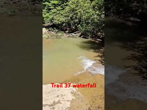 Trail 37 In The Sundquist Unit Rideroyalblue Yamaha Rmax 