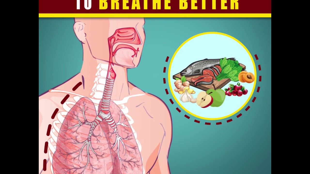 Healthy Foods for Lungs to Breathe Better YouTube