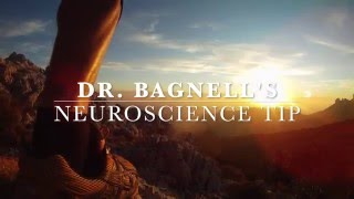 BCC Video Series   Neuroscience takeaway