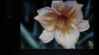 Lightbox Editor -- Gaussian Benchmark