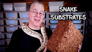 12 Types of Substrate for Ball Pythons