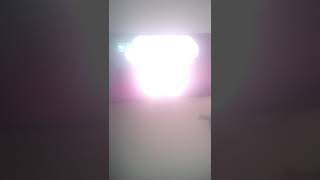 Bunnicula Él Conejo Vampiro