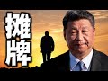 突然！习近平跟某常委摊牌，公开下手他的胞弟！谁动了习家龙脉，他就跟谁没完