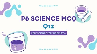 PSLE SCIENCE | EP15 | P4 Germination | Root or Shoot First | PSLE 2022 MCQ Q12