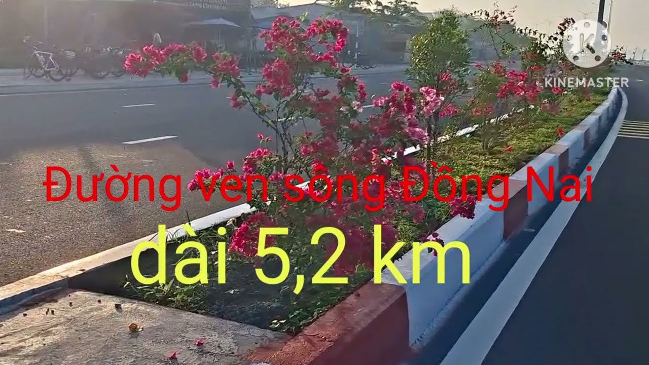 Đồng Nai Thay Đổi Diện Mạo Với Đường Ven Sông 5,2km Hoàn Thành