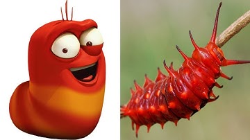 Larva Characters In Real Life