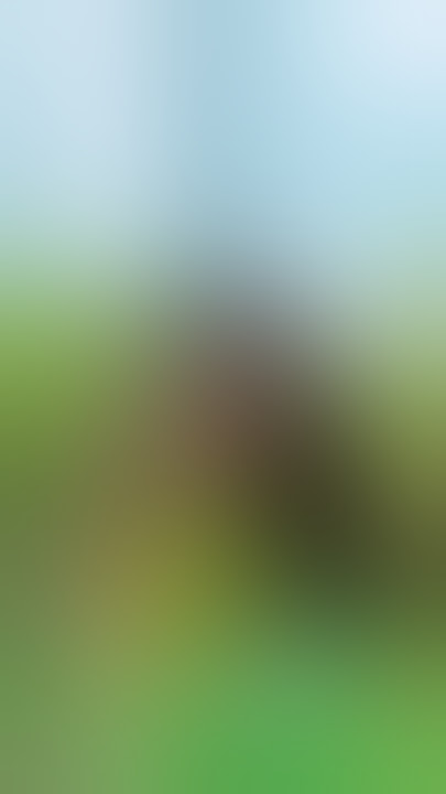 Beautiful Model Anapaulasa install fame 2022