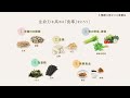 動画で学ぶ漢方と養生