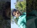 mirchi Tod rahe hain bajar lagne ke liye 😤 😮‍💨 #vlogs #shorts #viralvlogs