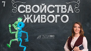 Свойства живого. Как отличить живое от неживого. Лекция из курса 