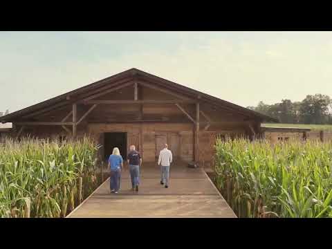 40 Years of Passionate People - Niverstone