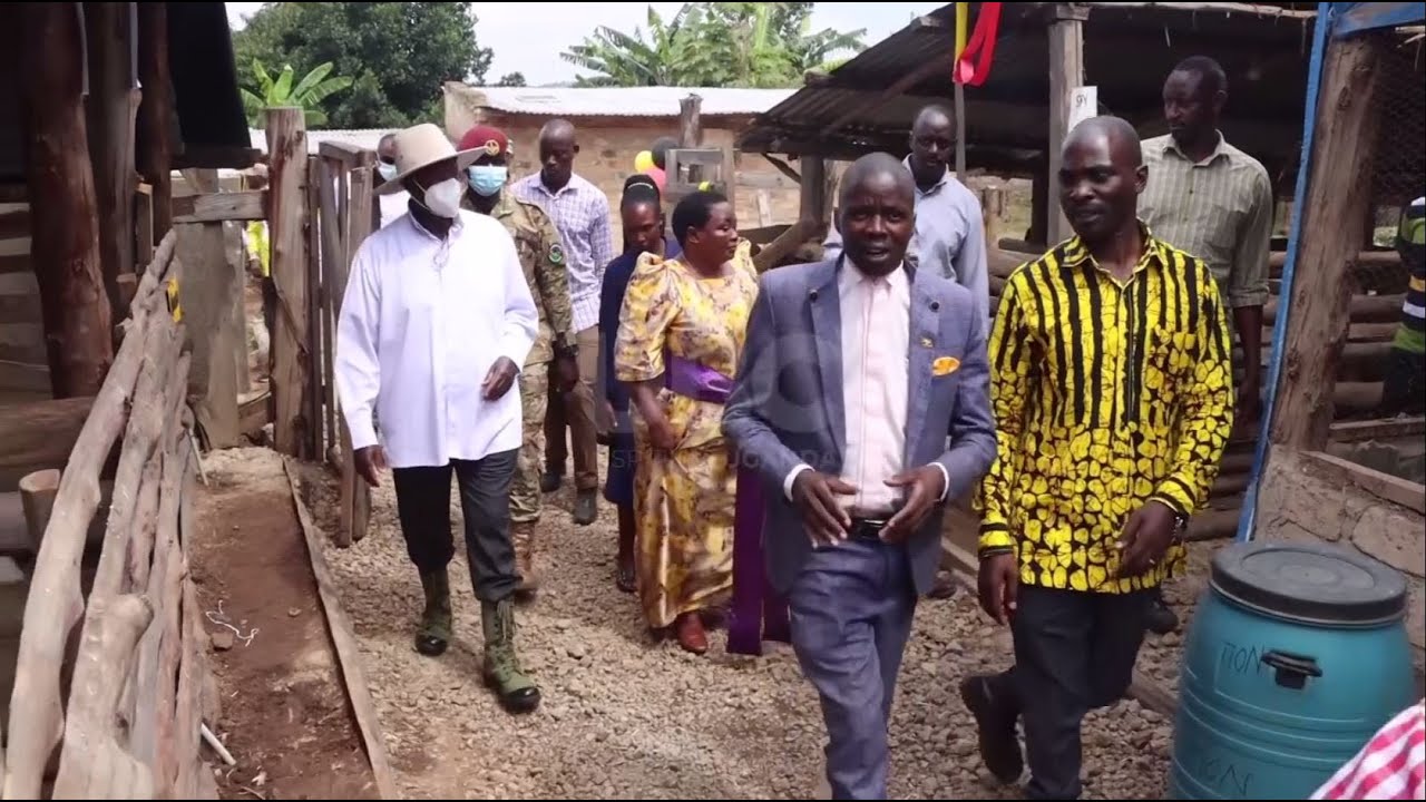 Мусевени посещает образцовых фермеров с 4-акровыми участками в Буньоро | Увеличение благосостояния