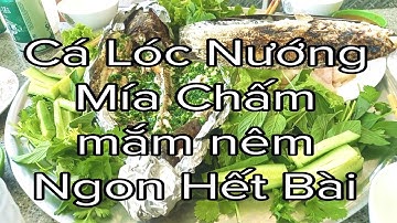 Cách Làm Cá Lóc Nướng Mía Ngon Hấp dẫn
