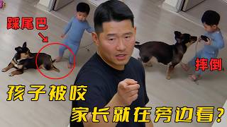 孩子誤踩狗尾巴，狗卻故意下套咬他一口，訓犬師都説這狗相當記仇