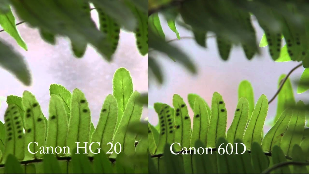 Canon HG20 vs Canon 60D_test2