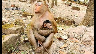 Poor baby Eleno lost mom hug nanny Cara in chest scare big sound,Cara well care&protect Eleno