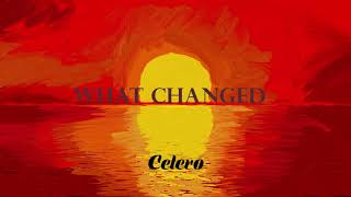 Celero - What Changed