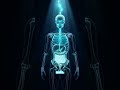 Your Gut Controls Your Sleep 😱 The Night Shift Secret #microbodyscience #facts #loveyourgut