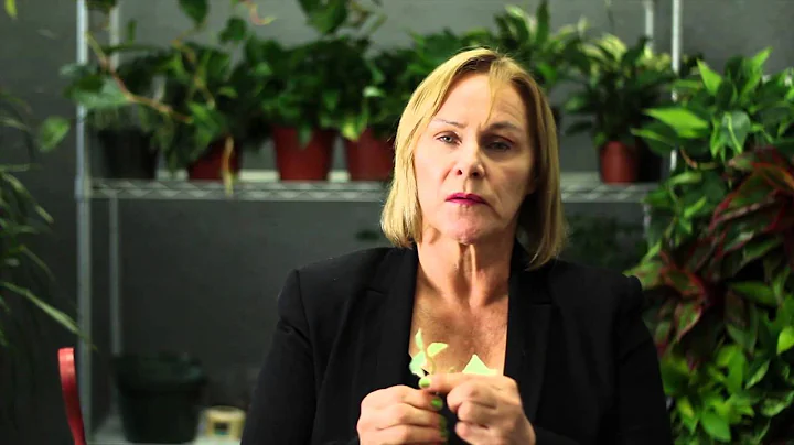 How to Root Ivy Cuttings : Gardening & Plant Care