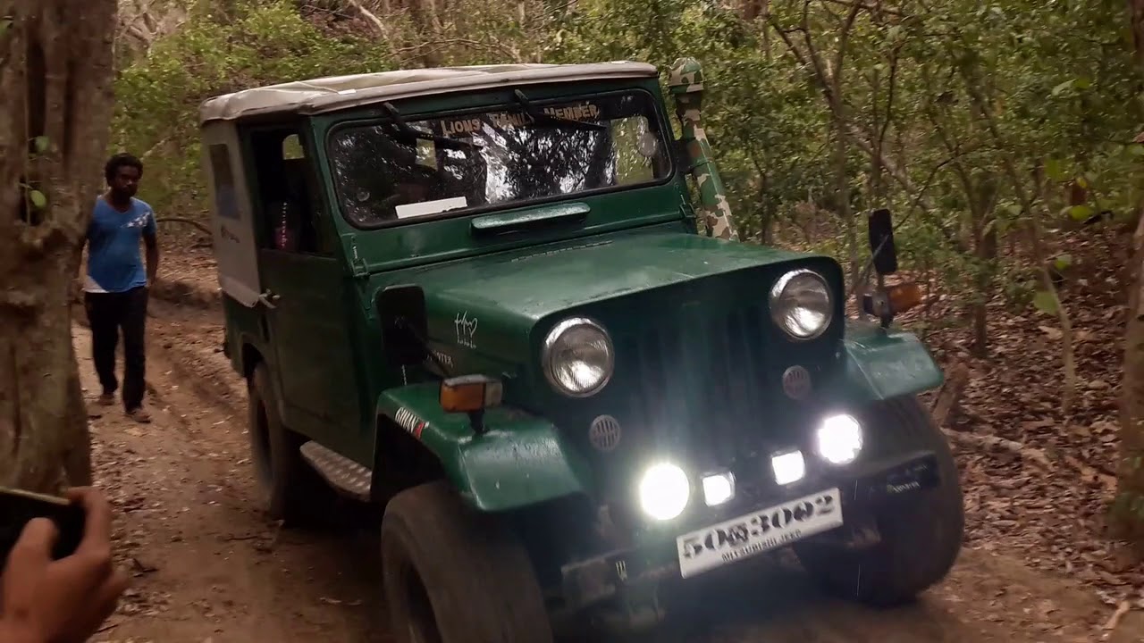 mitsubishi 4DR5 off road - YouTube