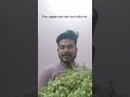 subscribe to my channel. Aapke area me isko bolte hai. Agar aap isko khaye hai to kaisa lgta hai.