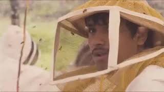 VID 20170117 WA0003