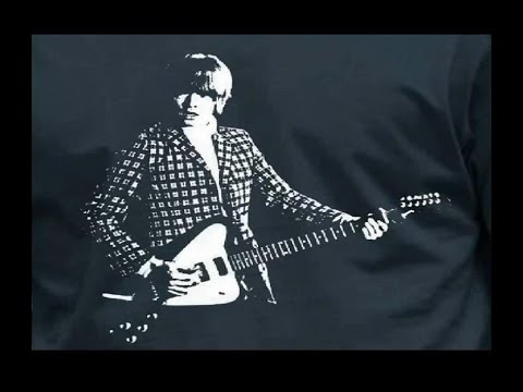 stray cat blues