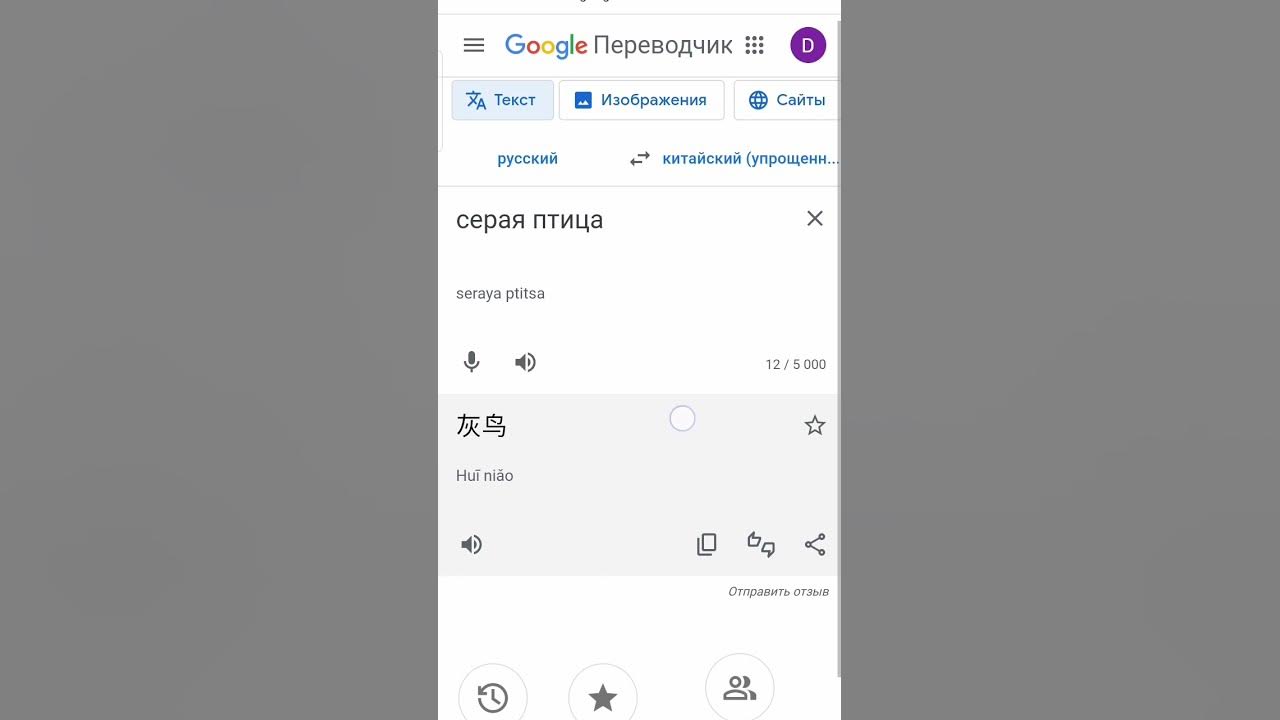 серая птица на китайском 😂😂😂😂😂захахаз - YouTube