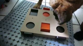 Karlie Schuifjes Puzzel