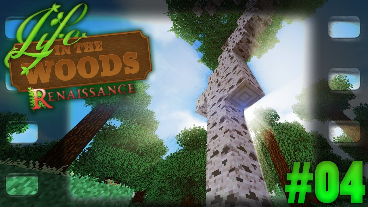 LITW : Minecraft #04 [1080p] | AriaPlays - YouTube