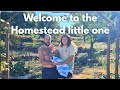 This week changed our lives on the farm! Welcome HOME Baby Boy!