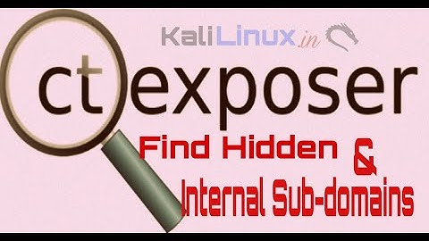 HOW TO EXPOSE INTERNAL SERVERS and SUBDOMAINS  USING CT EXPOSER.