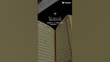 قران كريم 🍃✨ #الرحمن #لايك #راحة_نفسية