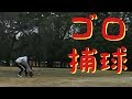 【自主トレ】ゆっくりゴロ捕球【とりあえず捕る】