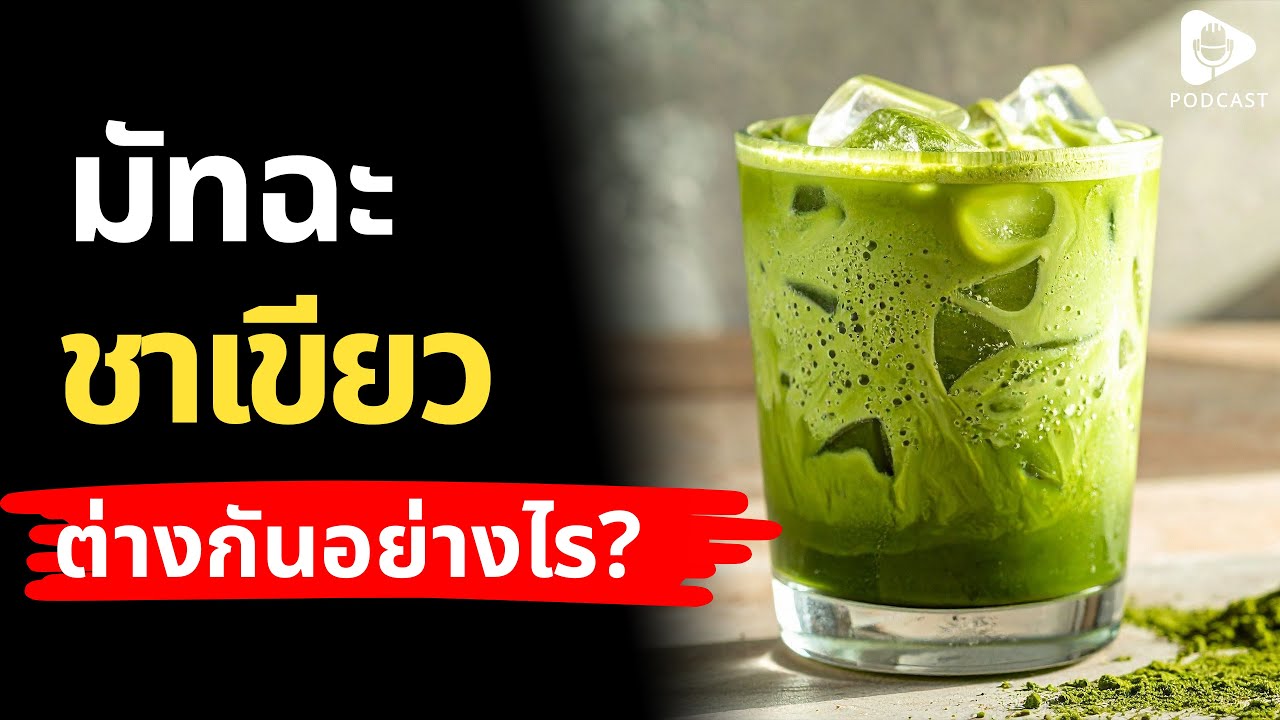 ไขข้อสงสัย มัทฉะ กับ ชาเขียว ต่างกันอย่างไร? | เรื่อง (ไม่) รู้รอบตัว