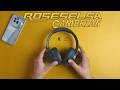 Roseselsa Cambrian Wireless Headphone In-Depth Review | Best Wireless Headphone in Segment?