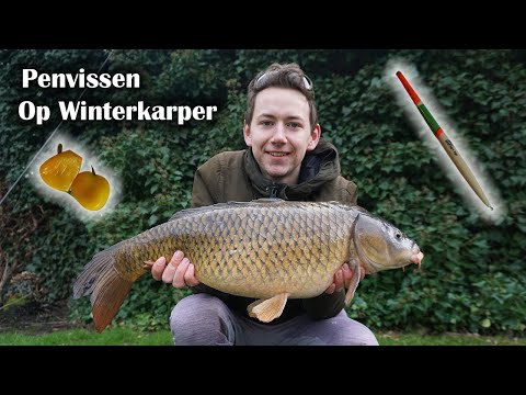 Video: Winter Karper