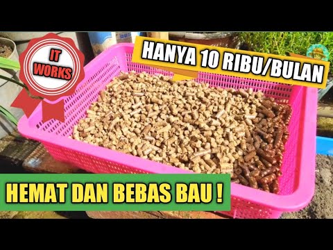 Video: Bagaimana Memilih Kotoran Untuk Kotak Kotoran Kucing