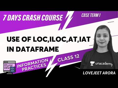 Use of loc,iloc,at,iat in DataFrame | 7 Day Crash Course | Term 1 | IP Class 12 | Lovejeet Arora
