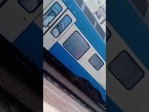 قطار الجزائر بسكرة من داخل المحطة