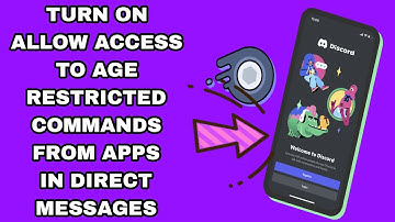 How To Turn On Allow Access To Age Restricted Commands From Apps In Direct Messages On Discord App