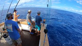 Turn It Blue - Swordfish Jump screenshot 3