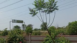 Ivy green DHA lahore